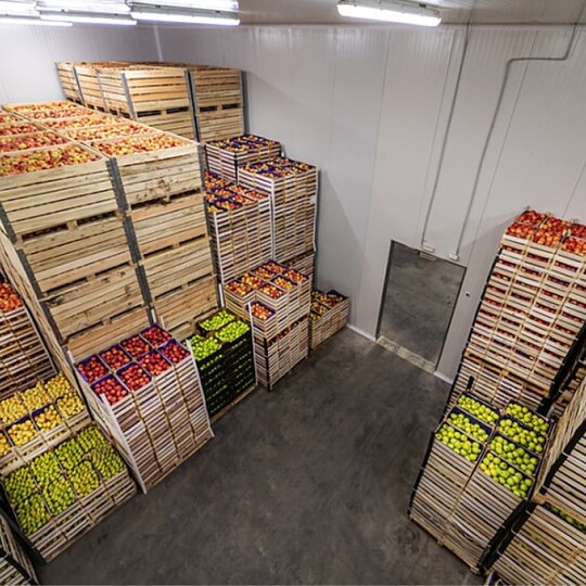 Apples and pears in creates ready for shipping. Cold Storage interior.