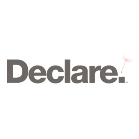 Declare logo