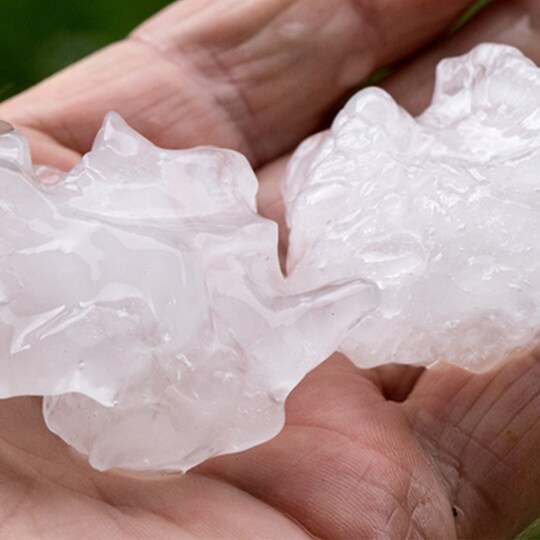 Close-up of hand holding hail 