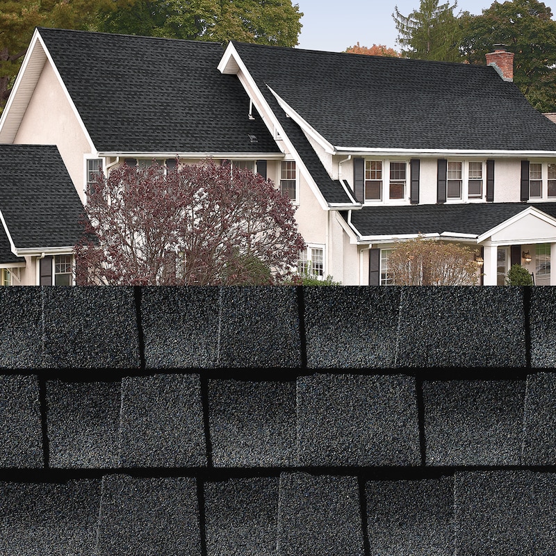 Shingle Preview