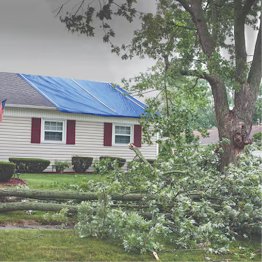 Damaged roof with blue tarp ready for insurance restoration repair work