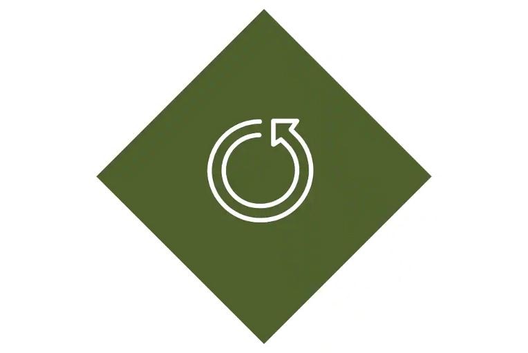 Sustainable system design icon