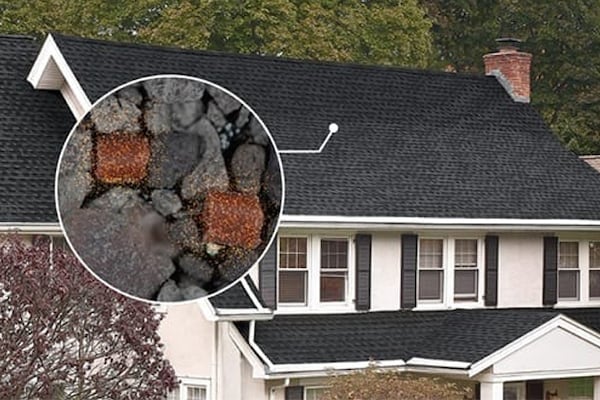 Home with GAF shingles and close up of algae protection technology