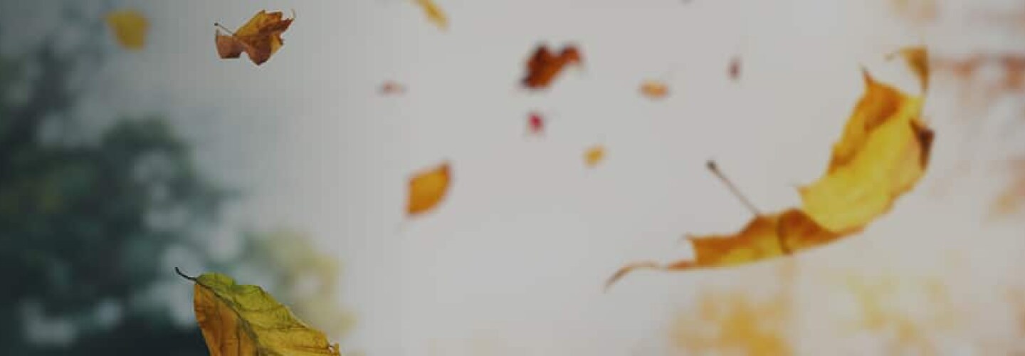 WindProven Limited Wind Warranty GAF Roofing