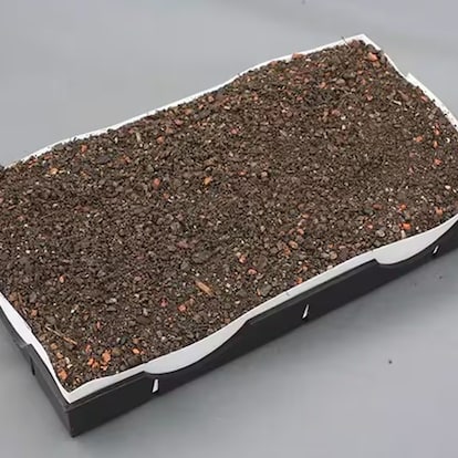 The module with LiveRoof engineered growing medium