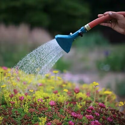Green roof being watered