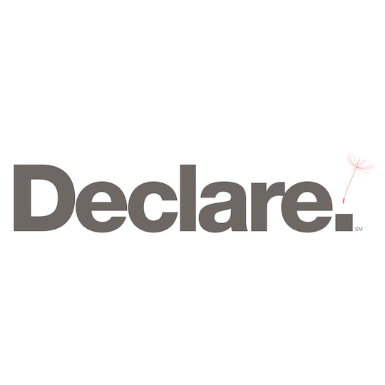 Declare logo