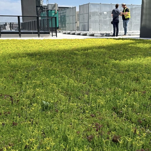 Commercial roof overburden system with live vegetation