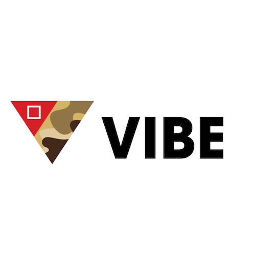 VIBE logo