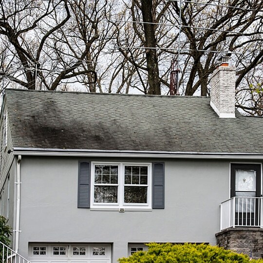 Roof shingles showing dark discoloration.
